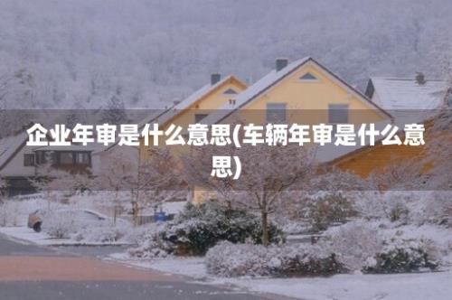 企业年审是什么意思(车辆年审是什么意思)