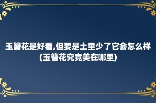 玉簪花是好看,但要是土里少了它会怎么样(玉簪花究竟美在哪里)