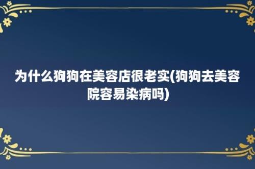 为什么狗狗在美容店很老实(狗狗去美容院容易染病吗)