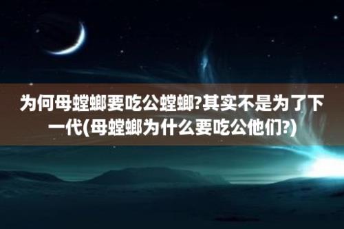 为何母螳螂要吃公螳螂?其实不是为了下一代(母螳螂为什么要吃公他们?)