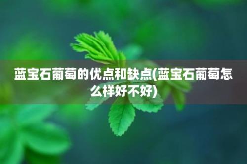 蓝宝石葡萄的优点和缺点(蓝宝石葡萄怎么样好不好)