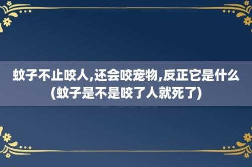 蚊子不止咬人,还会咬宠物,反正它是什么(蚊子是不是咬了人就死了)