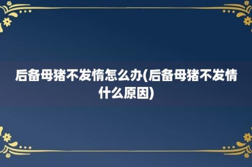 后备母猪不发惰怎么办(后备母猪不发情什么原因)