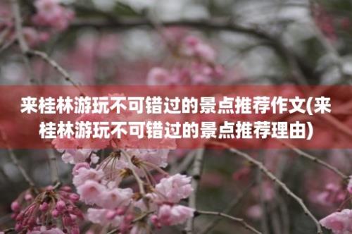 来桂林游玩不可错过的景点推荐作文(来桂林游玩不可错过的景点推荐理由)