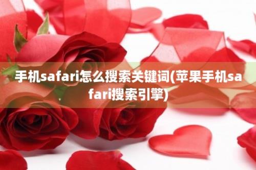 手机safari怎么搜索关键词(苹果手机safari搜索引擎)