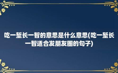 吃一堑长一智的意思是什么意思(吃一堑长一智适合发朋友圈的句子)