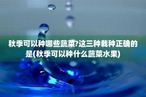 秋季可以种哪些蔬菜?这三种栽种正确的是(秋季可以种什么蔬菜水果)