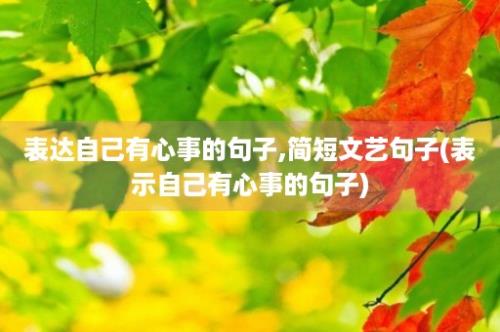 表达自己有心事的句子,简短文艺句子(表示自己有心事的句子)