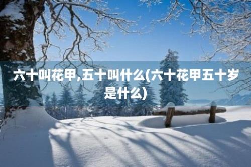 六十叫花甲,五十叫什么(六十花甲五十岁是什么)