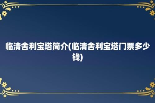 临清舍利宝塔简介(临清舍利宝塔门票多少钱)