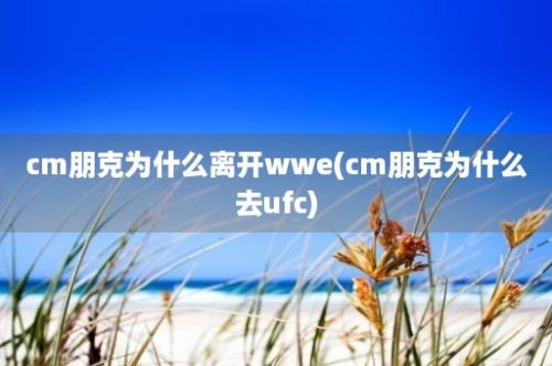 cm朋克为什么离开wwe(cm朋克为什么去ufc)