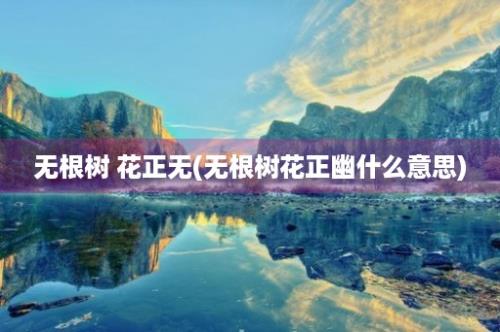 无根树 花正无(无根树花正幽什么意思)