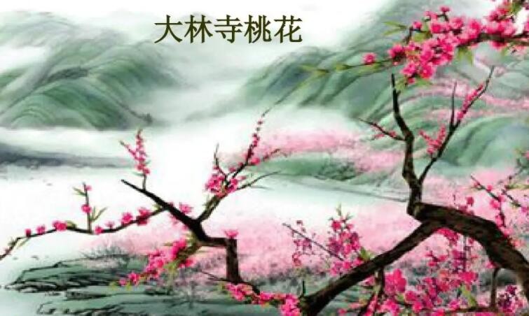 《大林寺桃花》前两句运用了什么写法