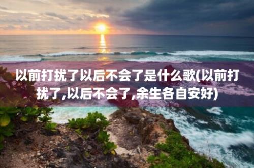 以前打扰了以后不会了是什么歌(以前打扰了,以后不会了,余生各自安好)