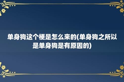 单身狗这个梗是怎么来的(单身狗之所以是单身狗是有原因的)