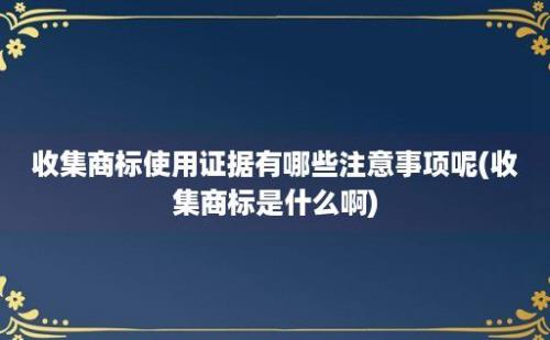 收集商标使用证据有哪些注意事项呢(收集商标是什么啊)