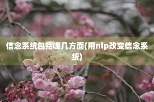 信念系统包括哪几方面(用nlp改变信念系统)