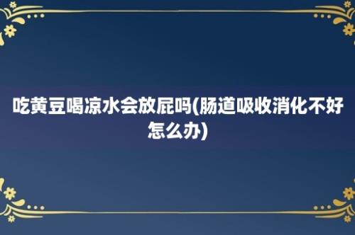 吃黄豆喝凉水会放屁吗(肠道吸收消化不好怎么办)