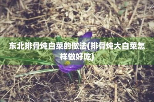 东北排骨炖白菜的做法(排骨炖大白菜怎样做好吃)