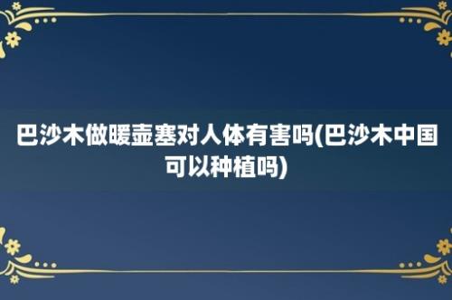 巴沙木做暖壶塞对人体有害吗(巴沙木中国可以种植吗)