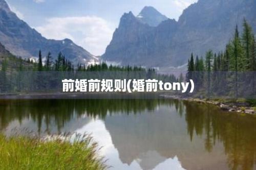 前婚前规则(婚前tony)