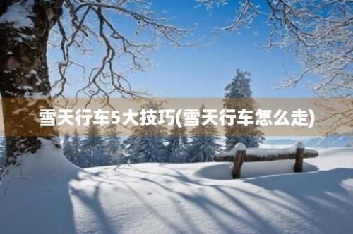 雪天行车5大技巧(雪天行车怎么走)