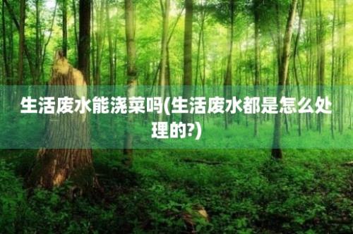 生活废水能浇菜吗(生活废水都是怎么处理的?)