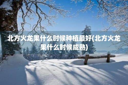 北方火龙果什么时候种植最好(北方火龙果什么时候成熟)