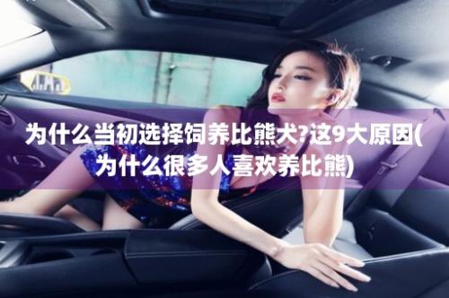 为什么当初选择饲养比熊犬?这9大原因(为什么很多人喜欢养比熊)