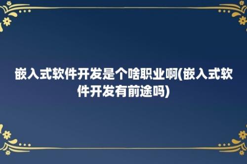 嵌入式软件开发是个啥职业啊(嵌入式软件开发有前途吗)