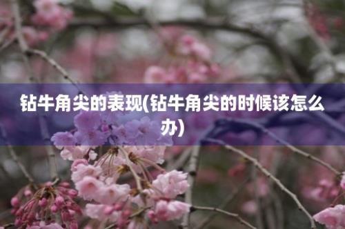 钻牛角尖的表现(钻牛角尖的时候该怎么办)