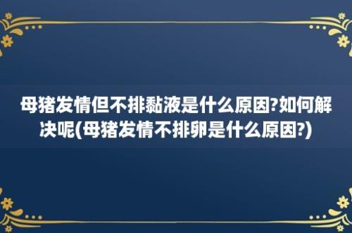 母猪发情但不排黏液是什么原因?如何解决呢(母猪发情不排卵是什么原因?)