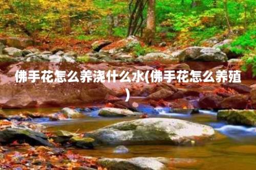 佛手花怎么养浇什么水(佛手花怎么养殖)