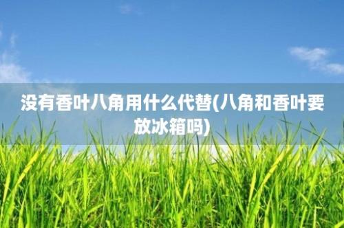 没有香叶八角用什么代替(八角和香叶要放冰箱吗)