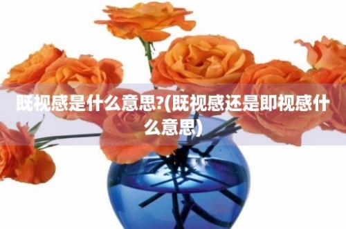 既视感是什么意思?(既视感还是即视感什么意思)