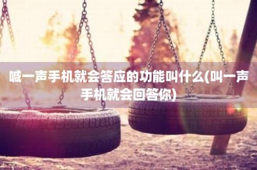 喊一声手机就会答应的功能叫什么(叫一声手机就会回答你)