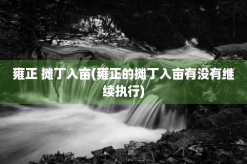 雍正 摊丁入亩(雍正的摊丁入亩有没有继续执行)