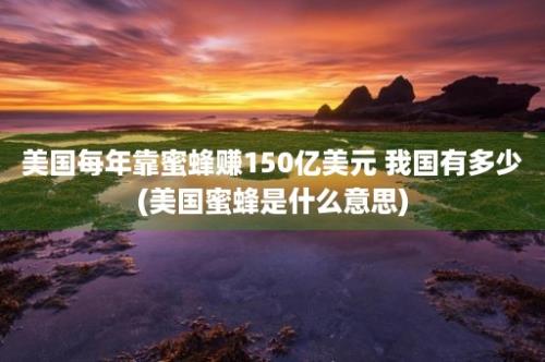 美国每年靠蜜蜂赚150亿美元 我国有多少(美国蜜蜂是什么意思)