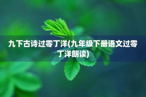 九下古诗过零丁洋(九年级下册语文过零丁洋朗读)