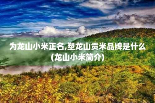 为龙山小米正名,塑龙山贡米品牌是什么(龙山小米简介)