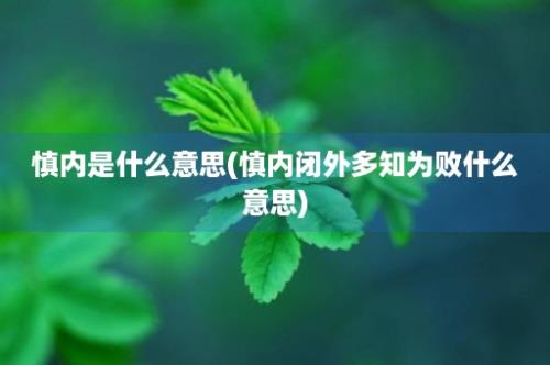 慎内是什么意思(慎内闭外多知为败什么意思)