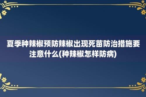 夏季种辣椒预防辣椒出现死苗防治措施要注意什么(种辣椒怎样防病)