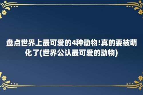 盘点世界上最可爱的4种动物!真的要被萌化了(世界公认最可爱的动物)