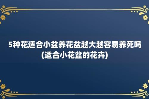 5种花适合小盆养花盆越大越容易养死吗(适合小花盆的花卉)