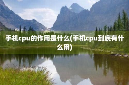 手机cpu的作用是什么(手机cpu到底有什么用)