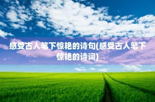 感受古人笔下惊艳的诗句(感受古人笔下惊艳的诗词)