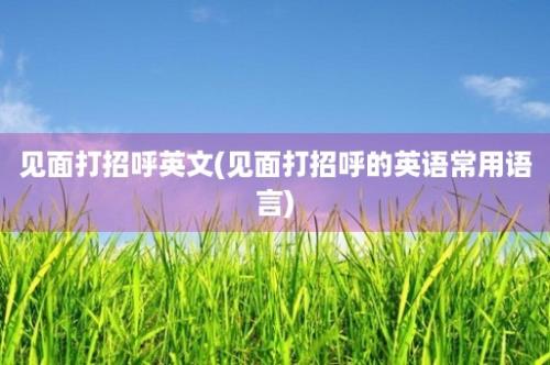 见面打招呼英文(见面打招呼的英语常用语言)