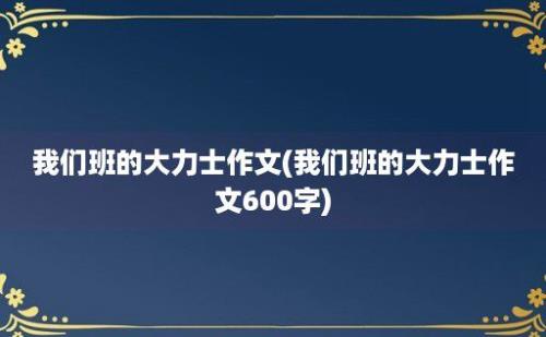 我们班的大力士作文(我们班的大力士作文600字)