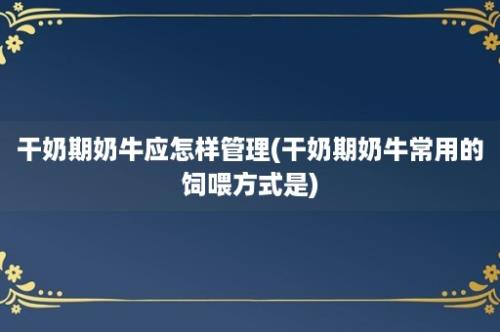 干奶期奶牛应怎样管理(干奶期奶牛常用的饲喂方式是)