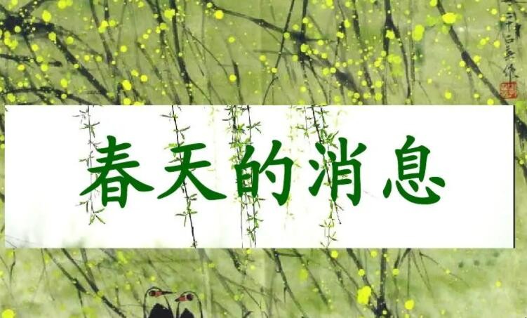 春天的消息作文怎么写